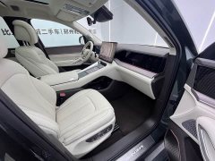 Denza BYD Denza N9 Flagship - ფოტო 7