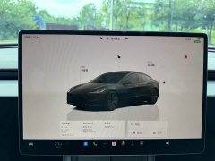 Tesla Model 3 2023 Rear-Wheel Drive - ფოტო 10