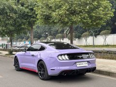 Ford Mustang 2019 2.3L EcoBoost - ფოტო 8