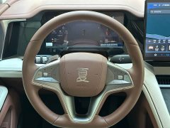 BYD Summer DM-i 1.5T 100km Leading Edition - ფოტო 15