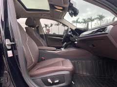 BMW 5 Series Facelift 525Li Luxury Package - ფოტო 13