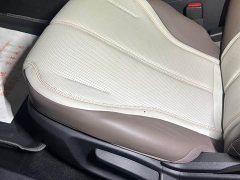 BYD Qin PLUS DM-i Smart Drive Edition 55KM Leading - ფოტო 12