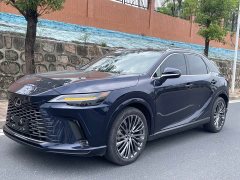 Lexus RX 2023 350h AWD Premium Edition - ფოტო 1