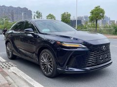 Lexus RX 2023 350h AWD Premium Edition - ფოტო 3