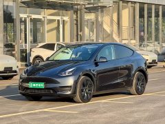 Tesla Model Y Rear-Wheel Drive - ფოტო 1