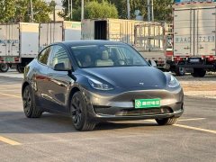 Tesla Model Y Rear-Wheel Drive - ფოტო 3