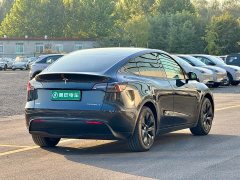 Tesla Model Y Rear-Wheel Drive - ფოტო 6