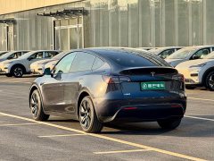Tesla Model Y Rear-Wheel Drive - ფოტო 8