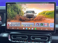 Jetour Traveller 2.0TD XWD Conqueror - ფოტო 20