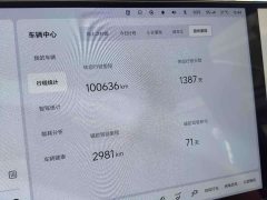 Li Auto L9 Max - ფოტო 12