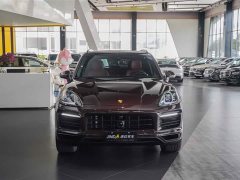 Porsche Cayenne S 2.9T Platinum Edition - ფოტო 18