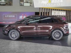 Porsche Cayenne S 2.9T Platinum Edition - ფოტო 20