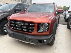 Great Wall Dachshund 2.0T DCT Four-Wheel Drive Chinese Rural Dog Edition - ფოტო 1