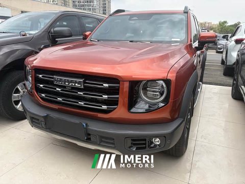 2021 Great Wall Dachshund 2.0T DCT Four-Wheel Drive Chinese Rural Dog Edition - ავტომობილი ჩინეთიდან