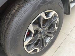 Great Wall Dachshund 2.0T DCT Four-Wheel Drive Chinese Rural Dog Edition - ფოტო 4