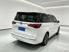Buick GL8 ES Land Respect 653T Luxury - ფოტო 4