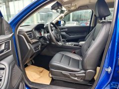 Great Cannon 2.4T Commercial Automatic Diesel 4WD Elite - photo 5