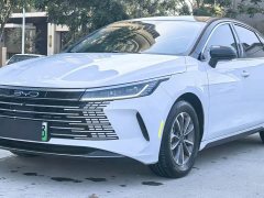 BYD Destroyer 05 Glory Edition DM-i 55KM Luxury - ფოტო 1