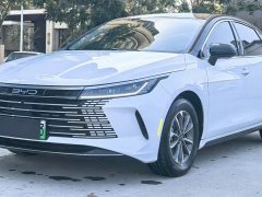 BYD Destroyer 05 Glory Edition DM-i 55KM Luxury - ფოტო 3