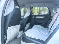 BYD Destroyer 05 Glory Edition DM-i 55KM Luxury - ფოტო 6