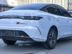 BYD Destroyer 05 Glory Edition DM-i 55KM Luxury - ფოტო 9