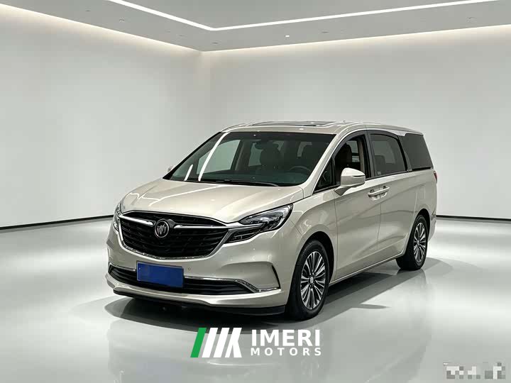 Buick GL8 ES Land Respect 653T Luxury - car from China
