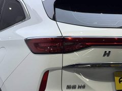 Haval H6 2022 Third Generation 1.5T Automatic Two-Wheel Drive Max - photo 9