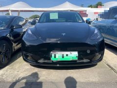Tesla Model Y 2021 Standard Range RWD - ფოტო 2