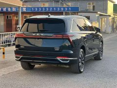 Great Wall WEY Blue Mountain 2023 Four-Wheel Drive Extended Range Version - ფოტო 11