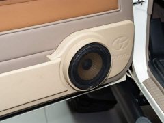 Toyota Land Cruiser (Imported) LC76 2022 4.0L Manual - ფოტო 12