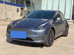 Tesla Model Y 2023 Long Range All-Wheel Drive - ფოტო 1