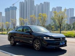 Volkswagen Magotan 380TSI DSG Premium Edition - ფოტო 3