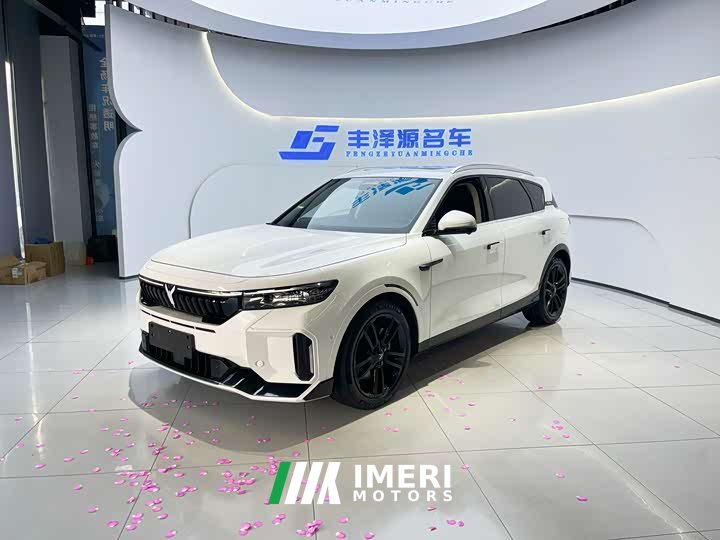 Voyah FREE 2024 Extended Range Intelligent Driving Edition - ავტომობილი ჩინეთიდან