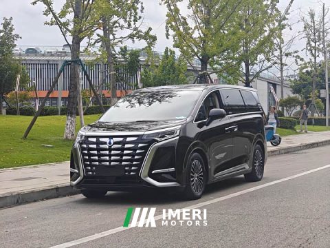 2024 Denza BYD Denza D9 DM-i 980 Four-Wheel Drive Flagship - ავტომობილი ჩინეთიდან