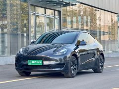 Tesla Model Y Rear-Wheel Drive - ფოტო 1