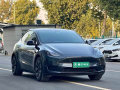 Tesla Model Y Rear-Wheel Drive - ფოტო 3