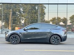Tesla Model Y Rear-Wheel Drive - ფოტო 5