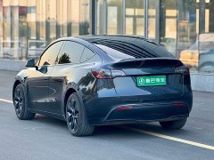 Tesla Model Y Rear-Wheel Drive - ფოტო 6