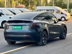 Tesla Model Y Rear-Wheel Drive - ფოტო 8