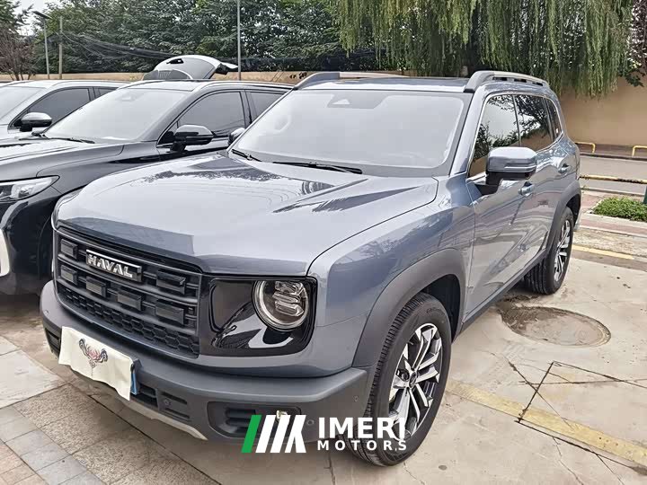 Great Wall Dachshund 2024 1.5T DCT Border Collie Edition - ავტომობილი ჩინეთიდან