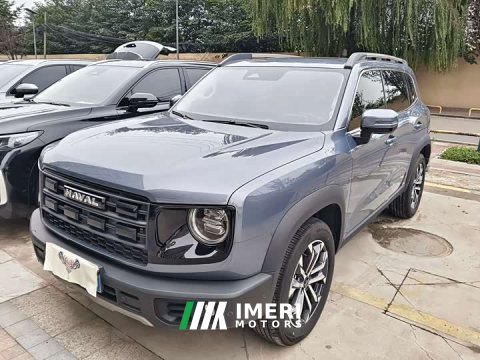 2025 Great Wall Dachshund 2024 1.5T DCT Border Collie Edition - ავტომობილი ჩინეთიდან