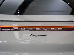 Porsche Cayenne Coupé 3.0T Platinum - ფოტო 16