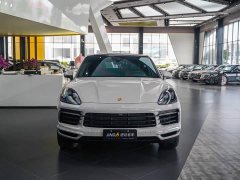 Porsche Cayenne Coupé 3.0T Platinum - ფოტო 17