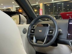 Li Auto L8 Max - ფოტო 16