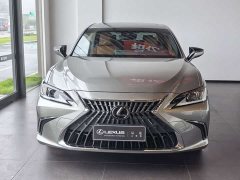Lexus ES 200 Excellence Edition - ფოტო 2