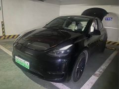 Tesla Model Y 2021 Standard Range RWD - ფოტო 1