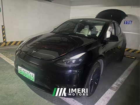 2022 Tesla Model Y 2021 Standard Range RWD - ავტომობილი ჩინეთიდან