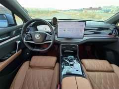 BYD Yuan Plus DM-i Champion Edition 112KM Deluxe - ფოტო 9