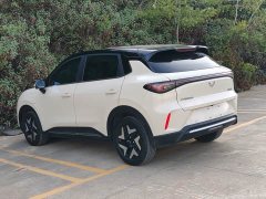 Wuling Bingo S 325km Flagship - ფოტო 9