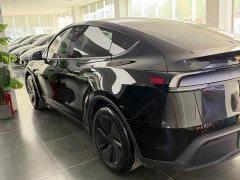 Tesla Model Y Rear-Wheel Drive - ფოტო 3